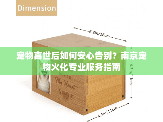 宠物离世后如何安心告别？南京宠物火化专业服务指南