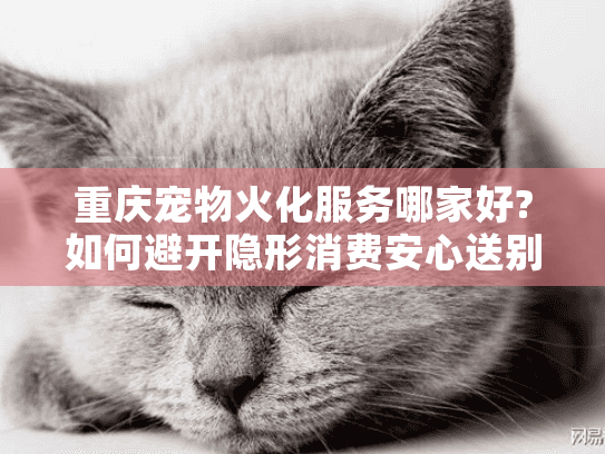 重庆宠物火化服务哪家好?如何避开隐形消费安心送别爱宠