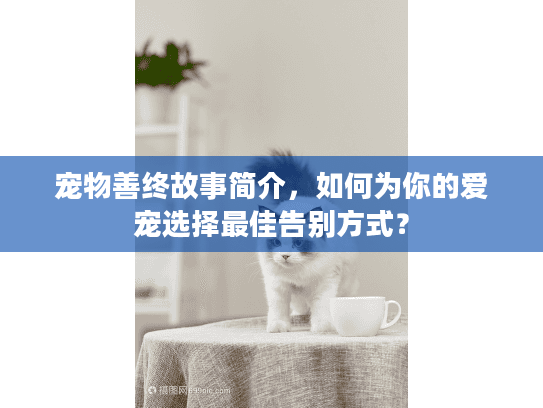 宠物善终故事简介，如何为你的爱宠选择最佳告别方式？