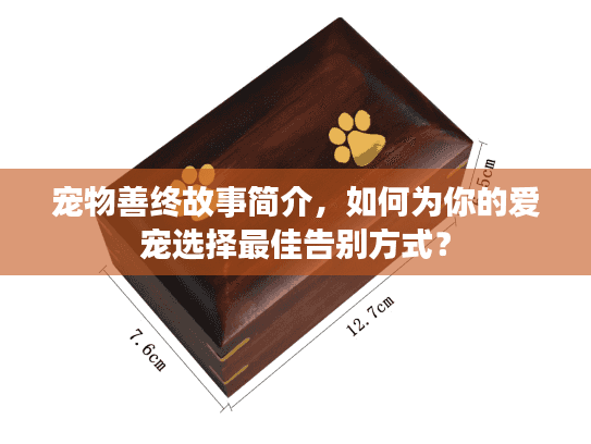 宠物善终故事简介，如何为你的爱宠选择最佳告别方式？