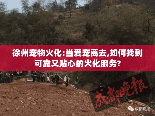 徐州宠物火化:当爱宠离去,如何找到可靠又贴心的火化服务?
