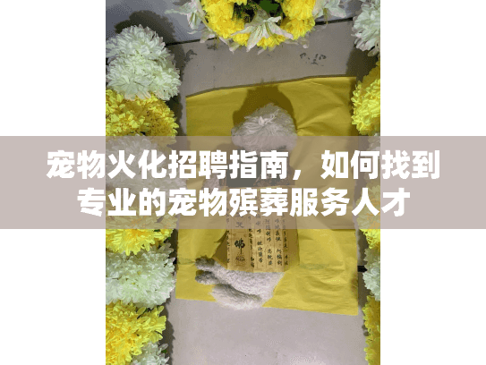 宠物火化招聘指南，如何找到专业的宠物殡葬服务人才