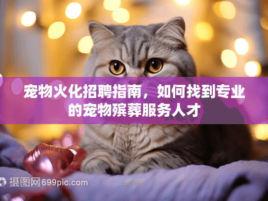 宠物火化招聘指南，如何找到专业的宠物殡葬服务人才