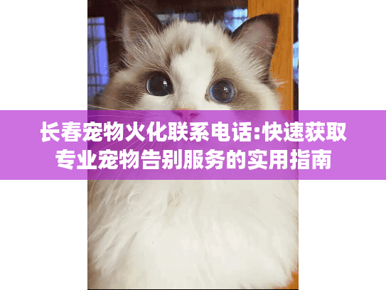 长春宠物火化联系电话:快速获取专业宠物告别服务的实用指南