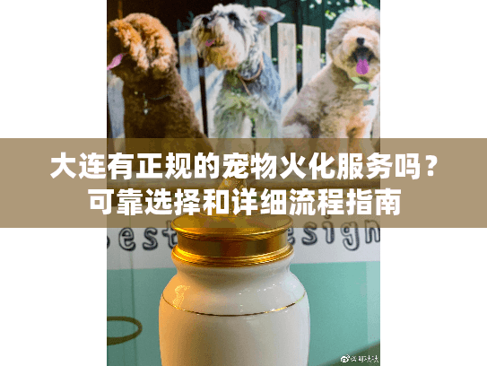 大连有正规的宠物火化服务吗？可靠选择和详细流程指南