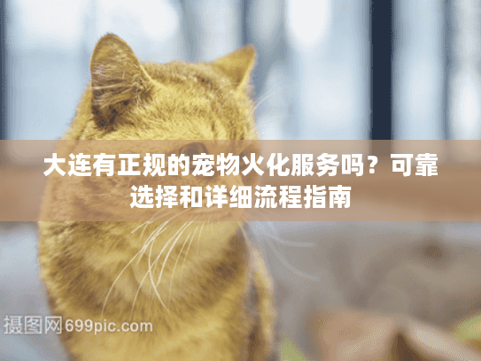 大连有正规的宠物火化服务吗？可靠选择和详细流程指南