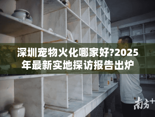 深圳宠物火化哪家好?2025年最新实地探访报告出炉
