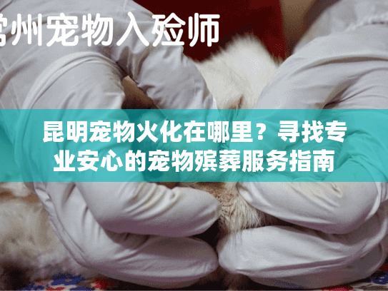 昆明宠物火化在哪里？寻找专业安心的宠物殡葬服务指南