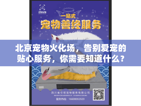 北京宠物火化场，告别爱宠的贴心服务，你需要知道什么？
