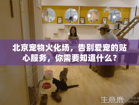 北京宠物火化场，告别爱宠的贴心服务，你需要知道什么？