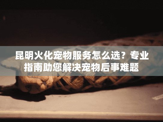 昆明火化宠物服务怎么选？专业指南助您解决宠物后事难题