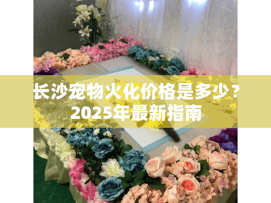 长沙宠物火化价格是多少？2025年最新指南