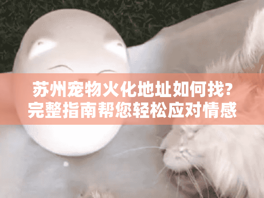 苏州宠物火化地址如何找?完整指南帮您轻松应对情感难题