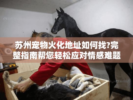 苏州宠物火化地址如何找?完整指南帮您轻松应对情感难题