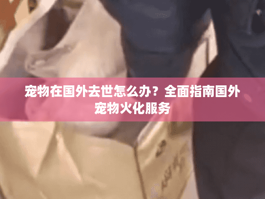 宠物在国外去世怎么办？全面指南国外宠物火化服务