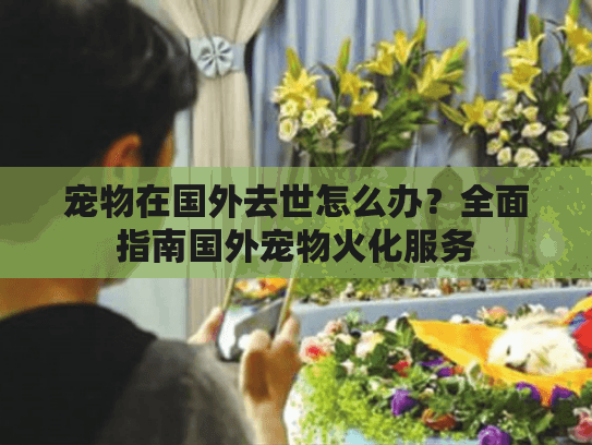 宠物在国外去世怎么办？全面指南国外宠物火化服务