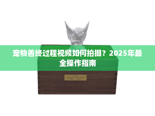宠物善终过程视频如何拍摄?2025年最全操作指南
