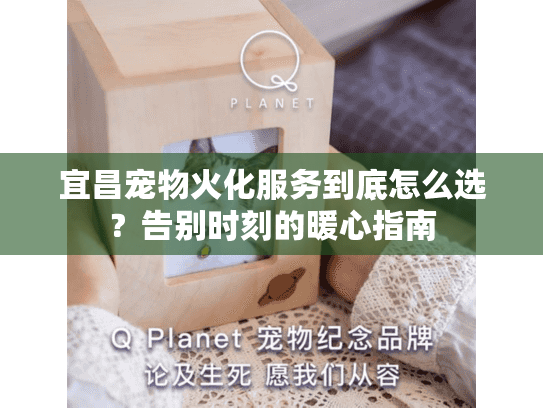 宜昌宠物火化服务到底怎么选？告别时刻的暖心指南