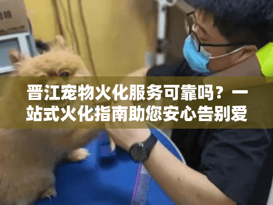 晋江宠物火化服务可靠吗？一站式火化指南助您安心告别爱宠