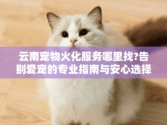 云南宠物火化服务哪里找?告别爱宠的专业指南与安心选择