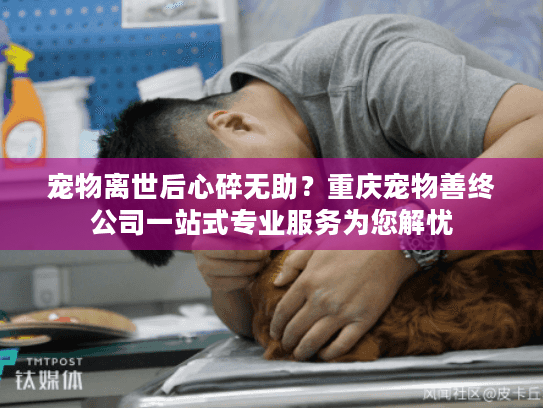 宠物离世后心碎无助？重庆宠物善终公司一站式专业服务为您解忧