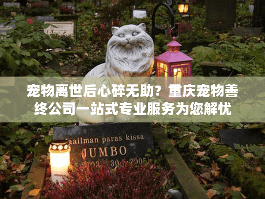 宠物离世后心碎无助?重庆宠物善终公司一站式专业服务为您解忧