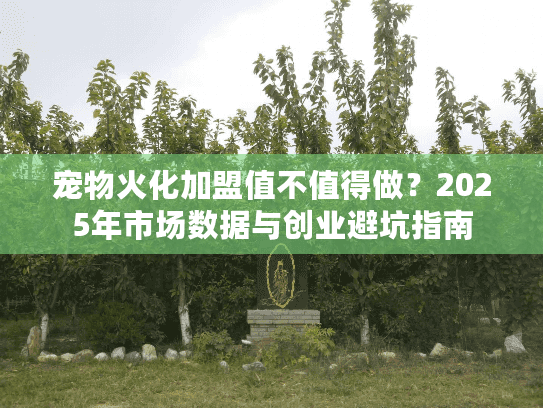 宠物火化加盟值不值得做？2025年市场数据与创业避坑指南