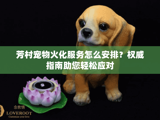 芳村宠物火化服务怎么安排？权威指南助您轻松应对