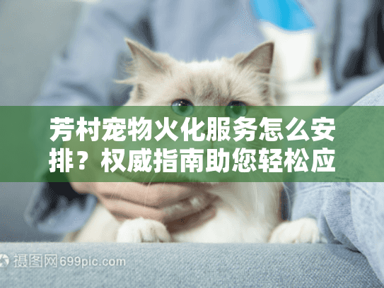 芳村宠物火化服务怎么安排？权威指南助您轻松应对