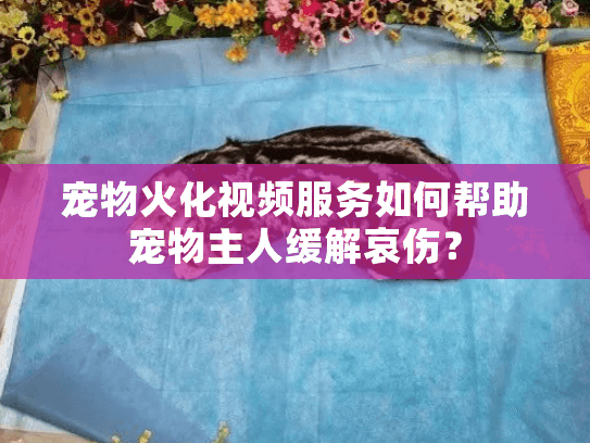 宠物火化视频服务如何帮助宠物主人缓解哀伤？