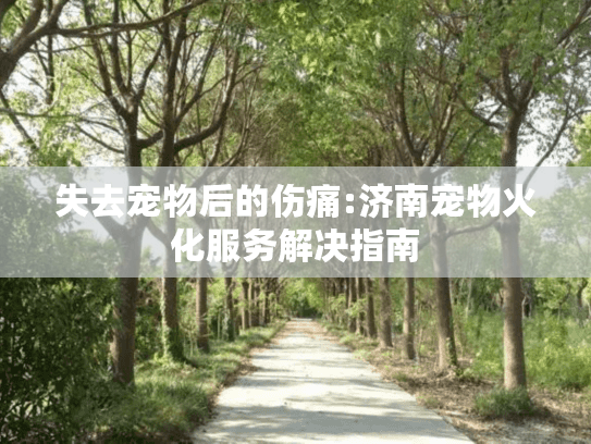 失去宠物后的伤痛:济南宠物火化服务解决指南