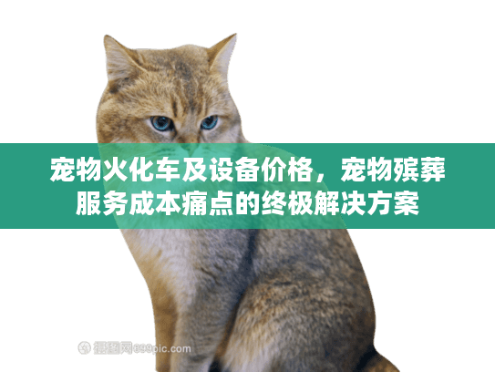 宠物火化车及设备价格，宠物殡葬服务成本痛点的终极解决方案