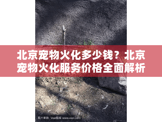 北京宠物火化多少钱？北京宠物火化服务价格全面解析
