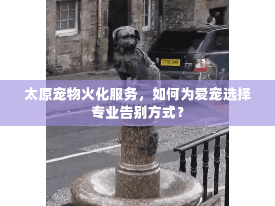太原宠物火化服务，如何为爱宠选择专业告别方式？