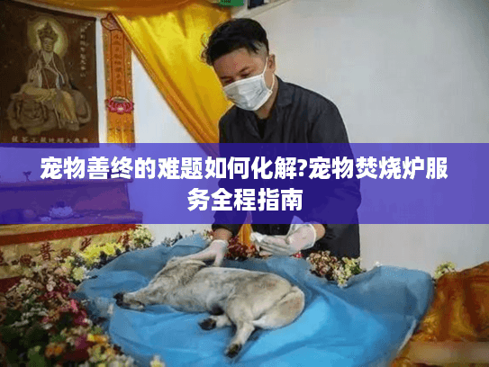 宠物善终的难题如何化解?宠物焚烧炉服务全程指南