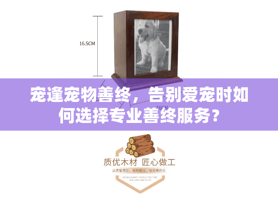 宠逢宠物善终，告别爱宠时如何选择专业善终服务？