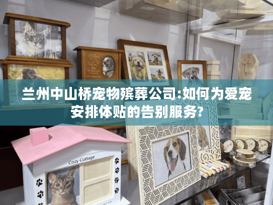 兰州中山桥宠物殡葬公司:如何为爱宠安排体贴的告别服务?