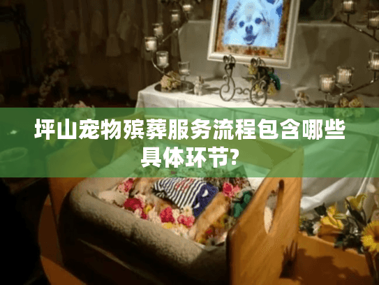 坪山宠物殡葬服务流程包含哪些具体环节?