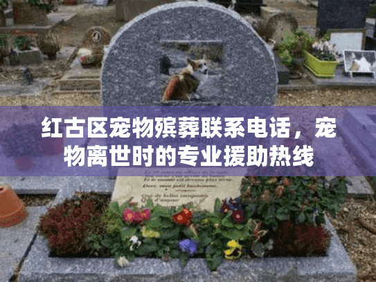 红古区宠物殡葬联系电话，宠物离世时的专业援助热线