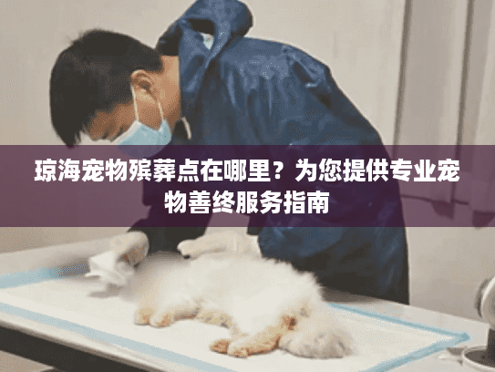 琼海宠物殡葬点在哪里？为您提供专业宠物善终服务指南