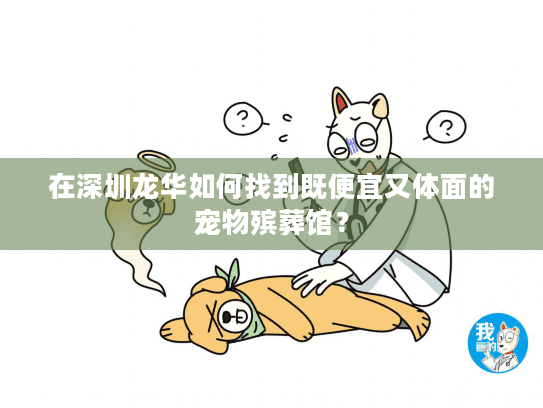 在深圳龙华如何找到既便宜又体面的宠物殡葬馆？