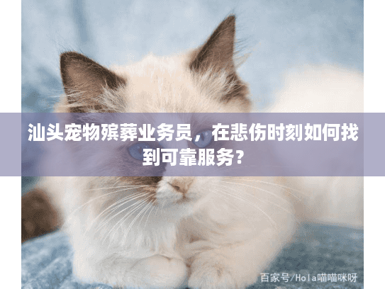 汕头宠物殡葬业务员，在悲伤时刻如何找到可靠服务？