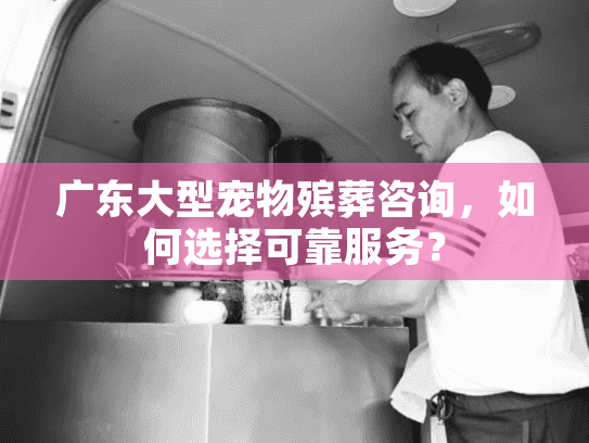 广东大型宠物殡葬咨询，如何选择可靠服务？