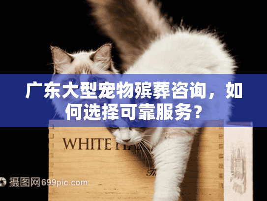 广东大型宠物殡葬咨询，如何选择可靠服务？