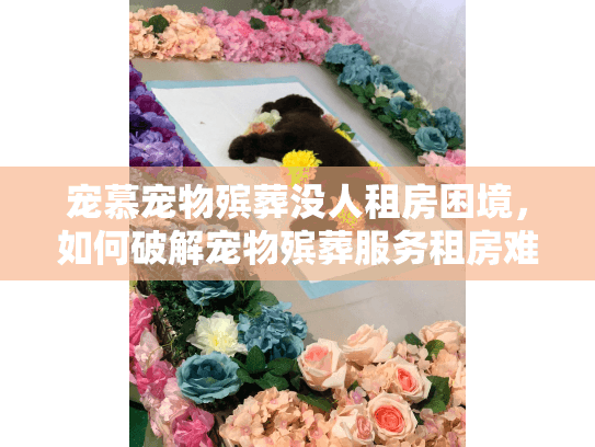 宠慕宠物殡葬没人租房困境，如何破解宠物殡葬服务租房难题？