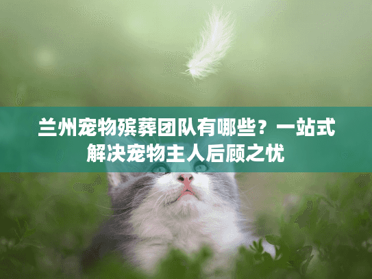 兰州宠物殡葬团队有哪些？一站式解决宠物主人后顾之忧