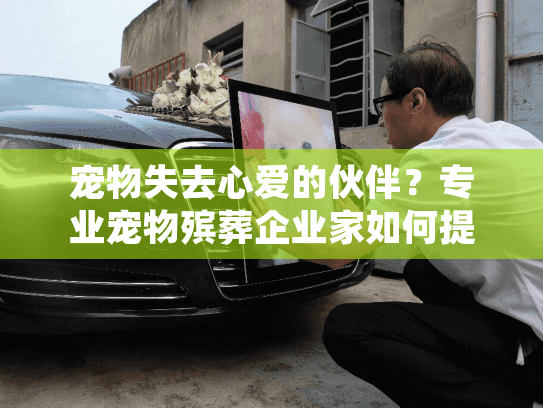 宠物失去心爱的伙伴？专业宠物殡葬企业家如何提供个性化告别方案