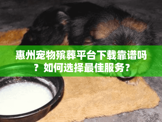 惠州宠物殡葬平台下载靠谱吗？如何选择最佳服务？