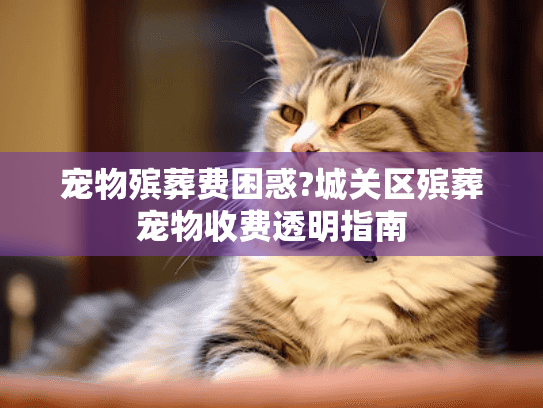 宠物殡葬费困惑?城关区殡葬宠物收费透明指南