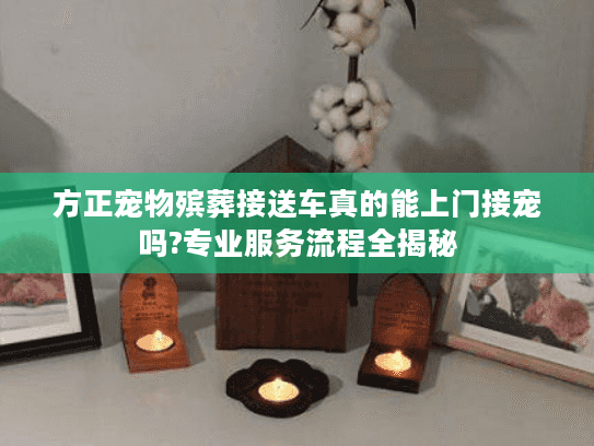 方正宠物殡葬接送车真的能上门接宠吗?专业服务流程全揭秘